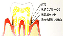 渡部圭一歯科